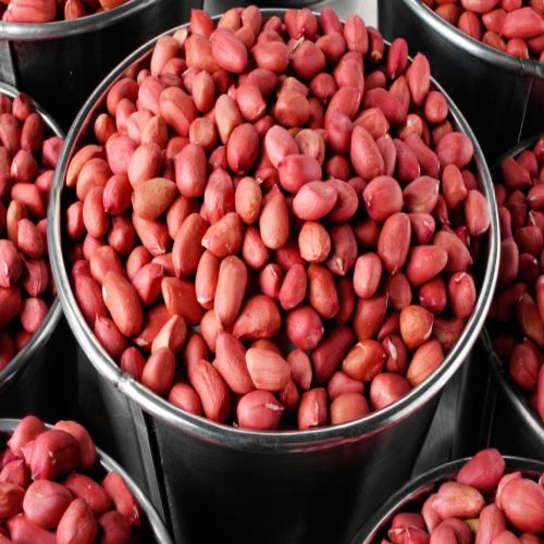 Global Peanuts sourcing and B2B commodity supply