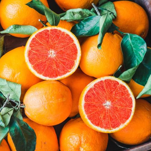 Global Oranges sourcing and B2B commodity supply