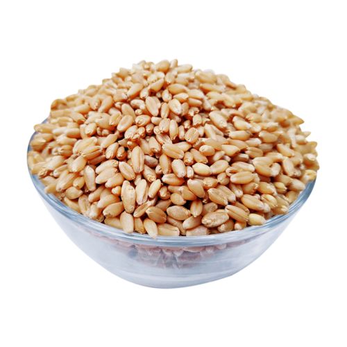 Global Wheat sourcing and B2B commodity supply