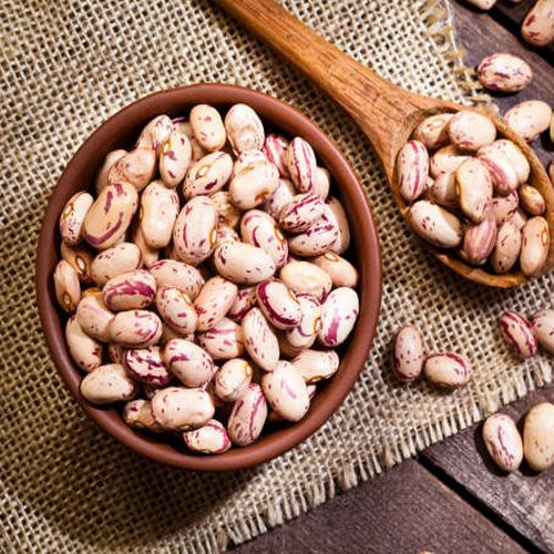 Global Pinto Beans sourcing and B2B commodity supply